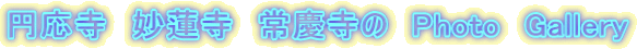 円応寺 妙蓮寺 常慶寺の Photo Gallery